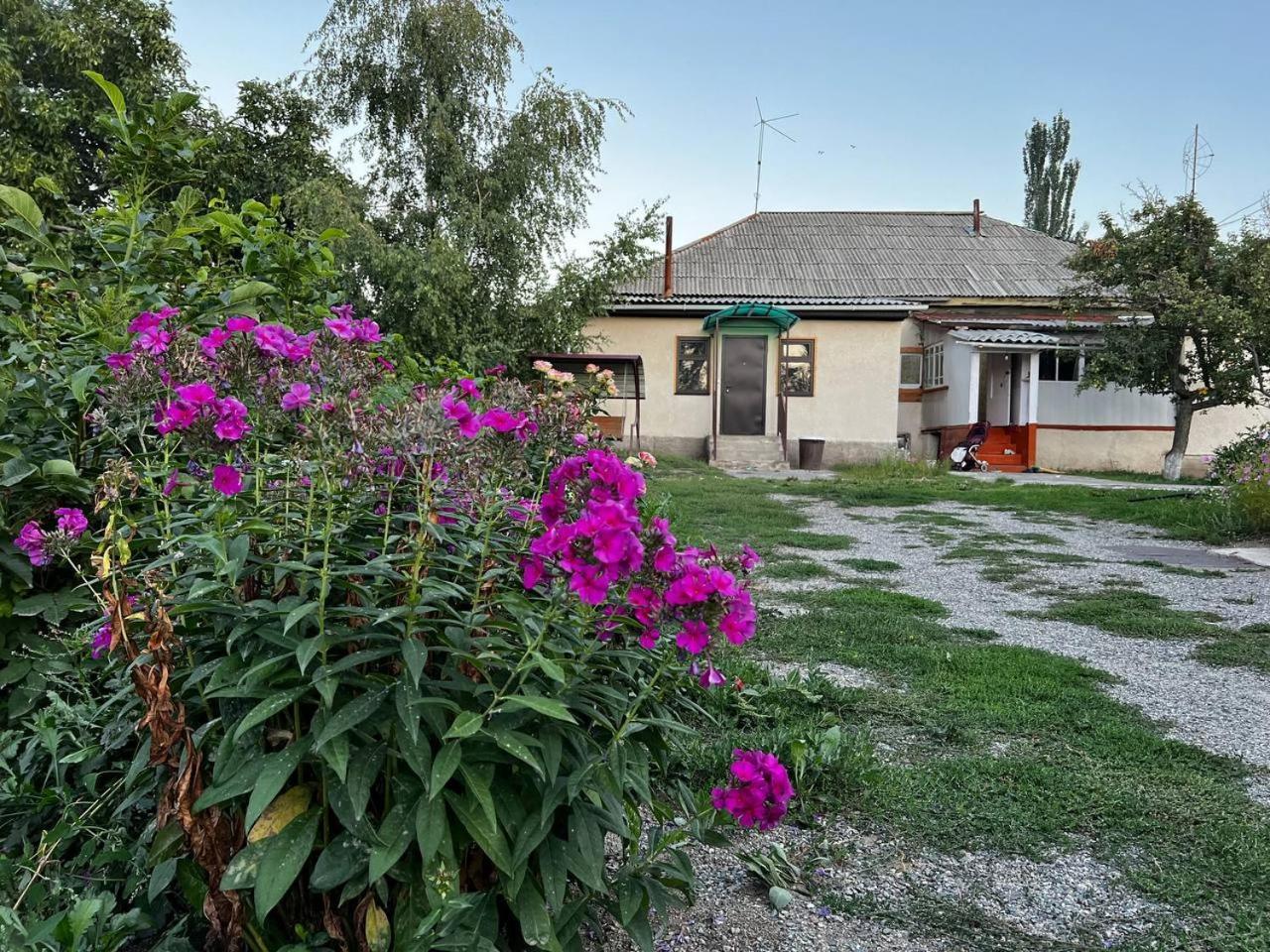 Bulak Hotell Karakol Exteriör bild